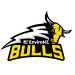 FRANKLIN BULLS Team Logo